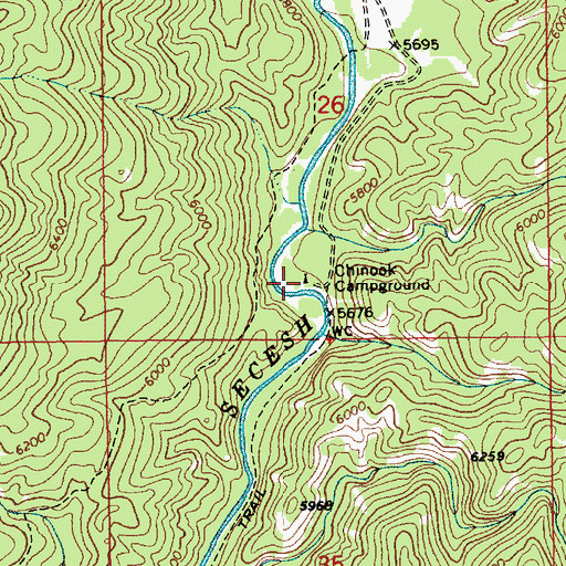 Topographic Map of Chinook Campground, ID