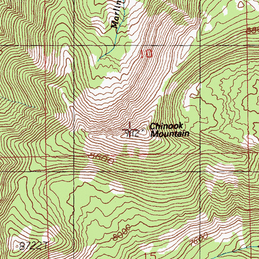Topographic Map of Chinook Mountain, ID