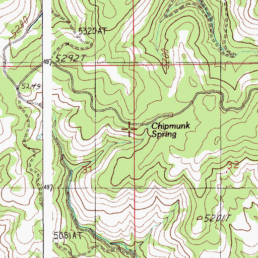 Topographic Map of Chipmunk Spring, ID