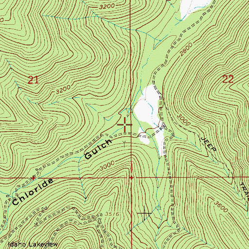 Topographic Map of Chloride Gulch, ID