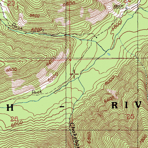 Topographic Map of Chokebore Creek, ID