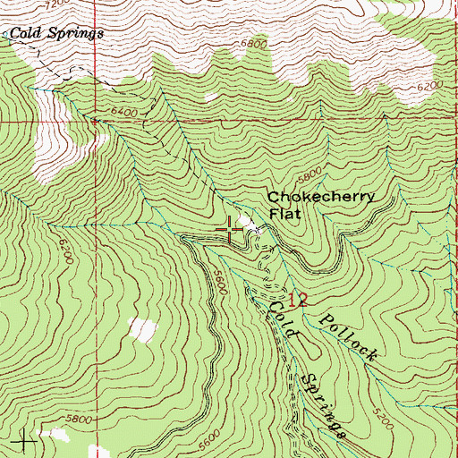 Topographic Map of Chokecherry Flat, ID