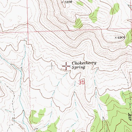 Topographic Map of Chokecherry Spring, ID