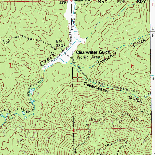 Topographic Map of Clearwater Gulch, ID