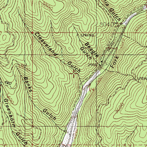 Topographic Map of Cleveland Gulch, ID