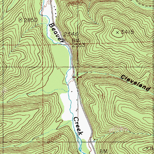 Topographic Map of Cleveland Gulch, ID