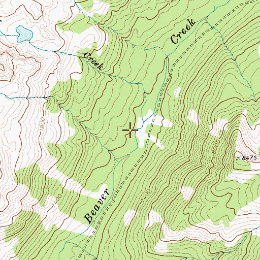 Topographic Map of Cliff Creek, ID