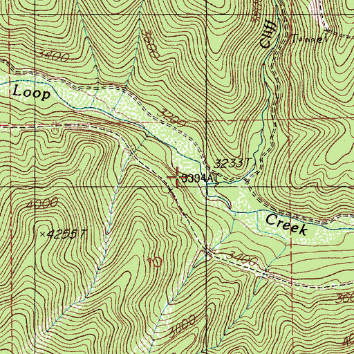 Topographic Map of Cliff Creek, ID
