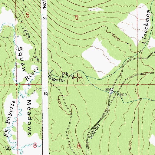 Topographic Map of Cloochman Creek, ID