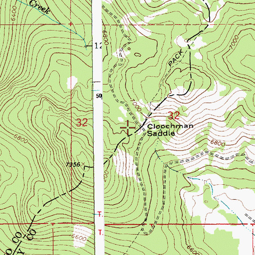 Topographic Map of Cloochman Saddle, ID
