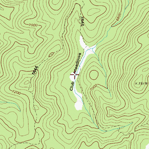 Topographic Map of Club Meadows, ID
