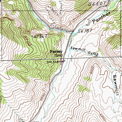 Topographic Map of Forney, ID