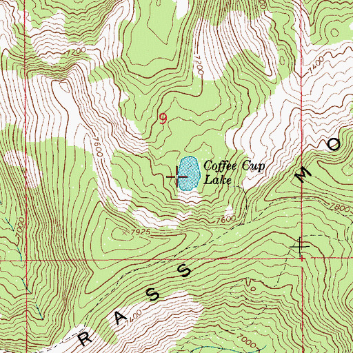 Topographic Map of Coffee Cup Lake, ID