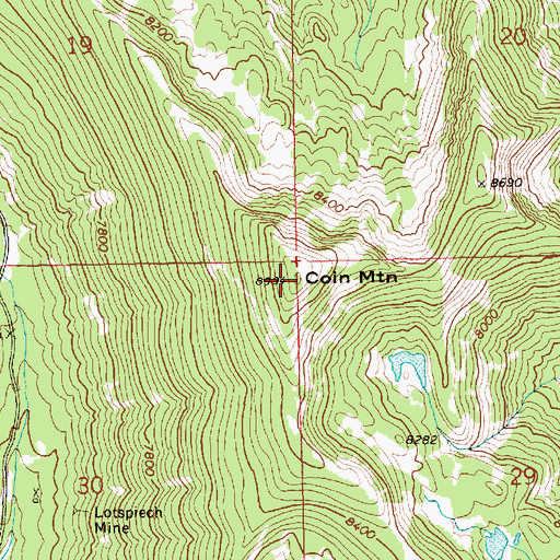 Topographic Map of Coin Mountain, ID