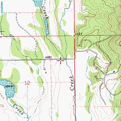 Topographic Map of Cold Creek, ID