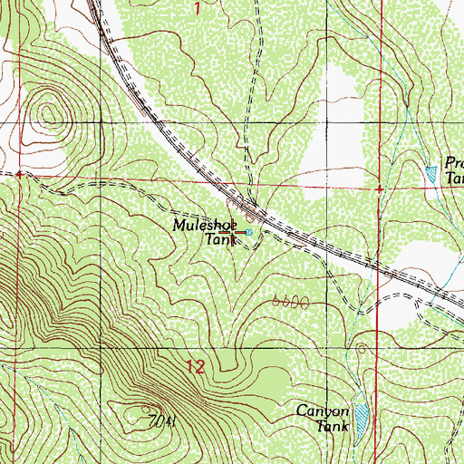 Topographic Map of Muleshoe Tank, AZ