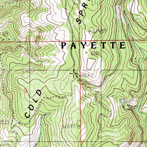 Topographic Map of Cold Spring Ridge, ID