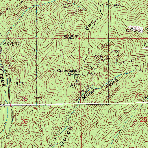 Topographic Map of Comeback Mine, ID