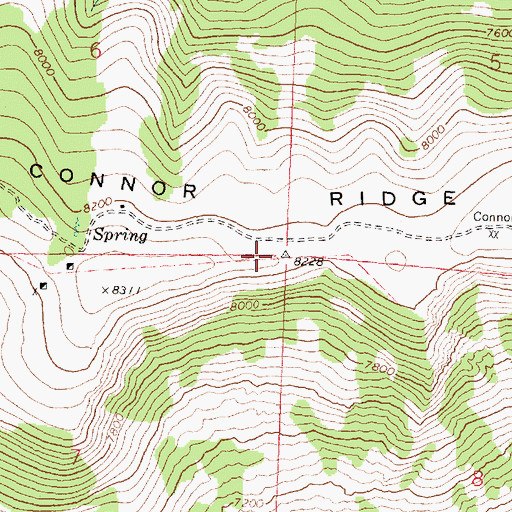 Topographic Map of Connor Ridge, ID