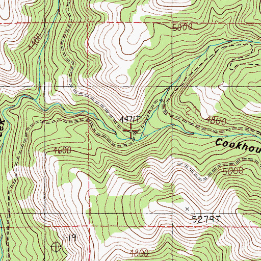 Topographic Map of Cookhouse Gulch, ID
