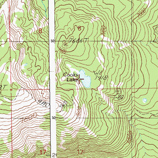 Topographic Map of Cooks Lake, ID