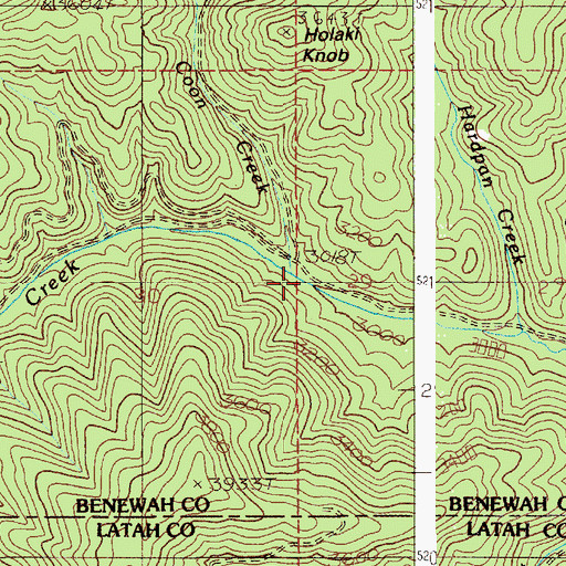 Topographic Map of Coon Creek, ID