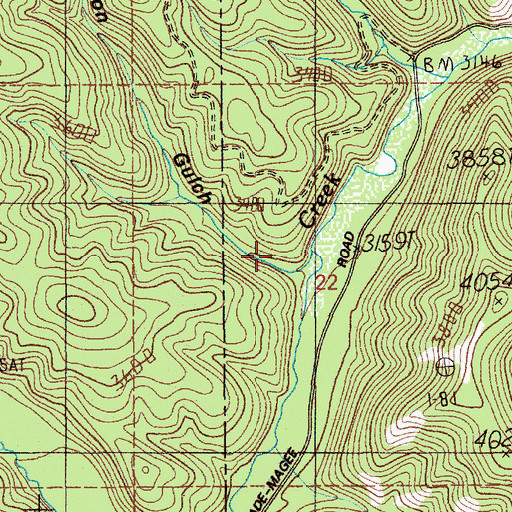 Topographic Map of Coon Gulch, ID