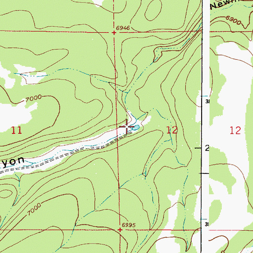 Topographic Map of Newman Tank, AZ