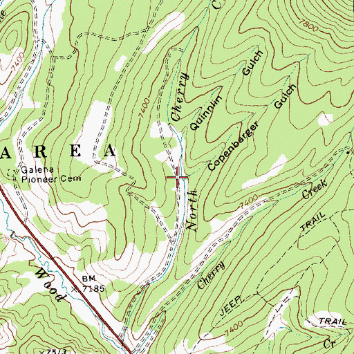 Topographic Map of Copenbarger Gulch, ID