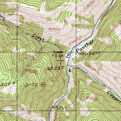 Topographic Map of Cobalt Ranger Station, ID
