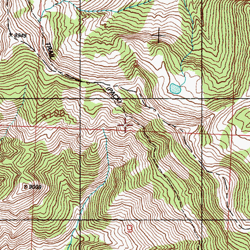 Topographic Map of Copper Creek Trail, ID