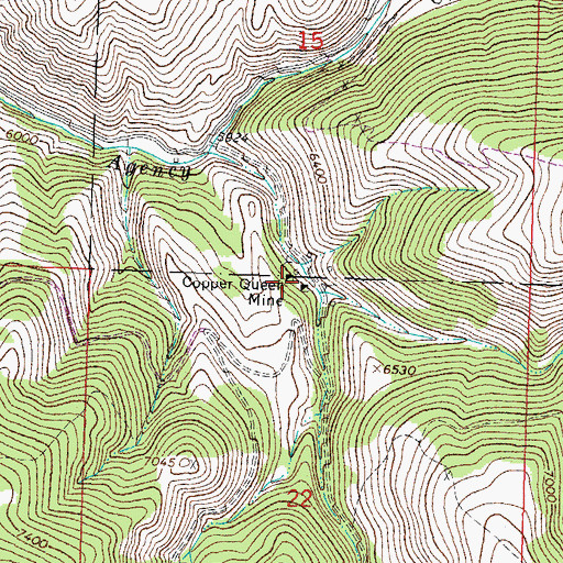 Topographic Map of Copper Queen Mine, ID
