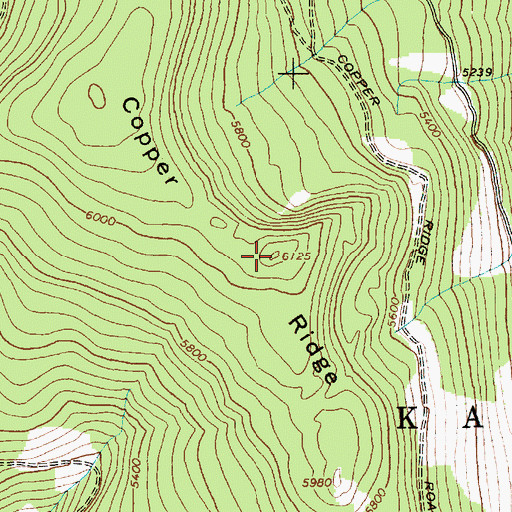 Topographic Map of Copper Ridge, ID