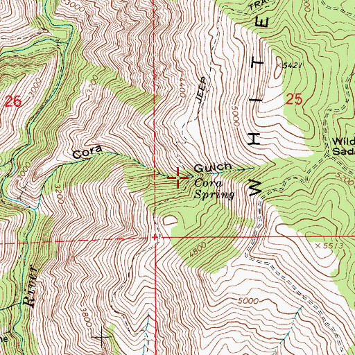 Topographic Map of Cora Spring, ID