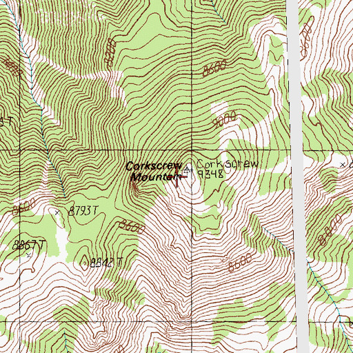 Topographic Map of Corkscrew Mountain, ID