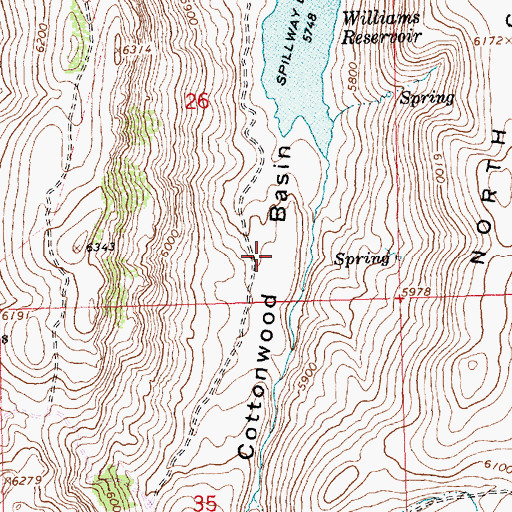 Topographic Map of Cottonwood Basin, ID