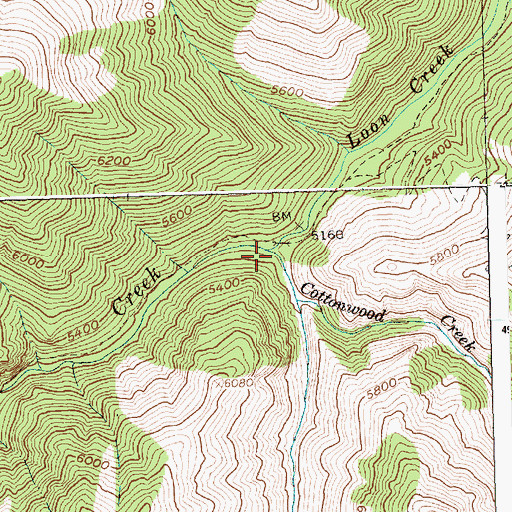 Topographic Map of Cottonwood Creek, ID