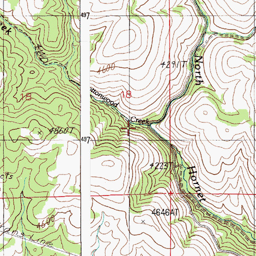 Topographic Map of Cottonwood Creek, ID