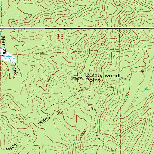 Topographic Map of Cottonwood Point, ID