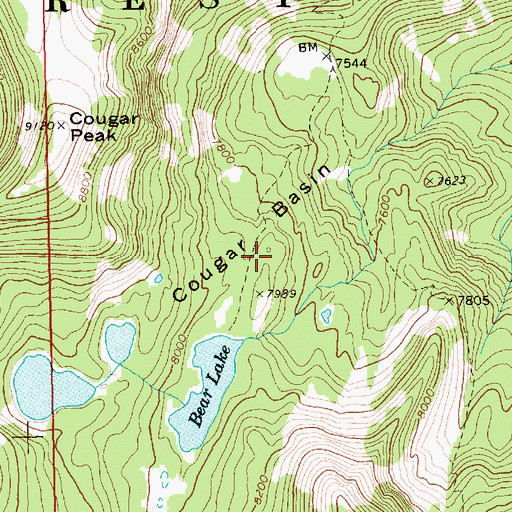 Topographic Map of Cougar Basin, ID