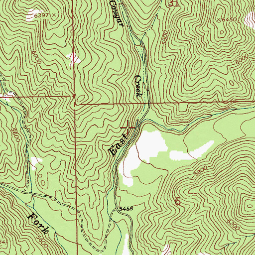 Topographic Map of Cougar Creek, ID