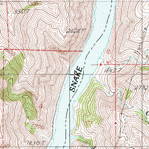Topographic Map of Cougar Creek, ID