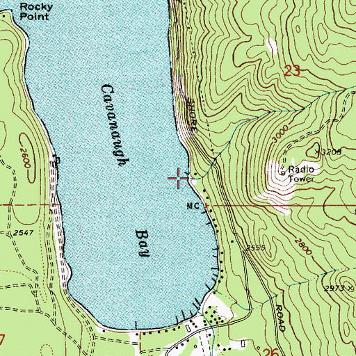Topographic Map of Cougar Creek, ID