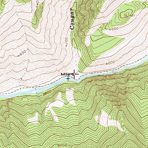 Topographic Map of Cougar Creek, ID