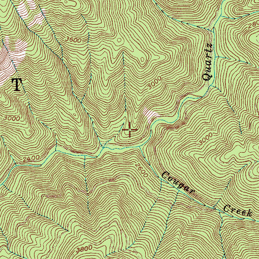 Topographic Map of Cougar Creek, ID