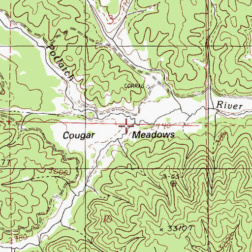Topographic Map of Cougar Creek, ID