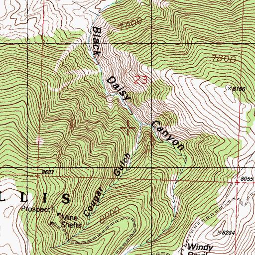 Topographic Map of Cougar Gulch, ID