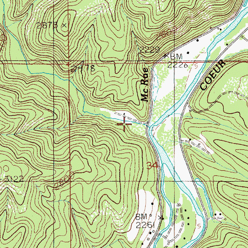 Topographic Map of Cougar Gulch, ID