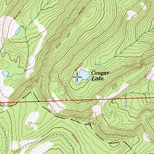 Topographic Map of Cougar Lake, ID
