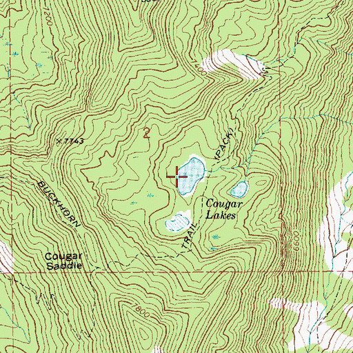 Topographic Map of Cougar Lakes, ID